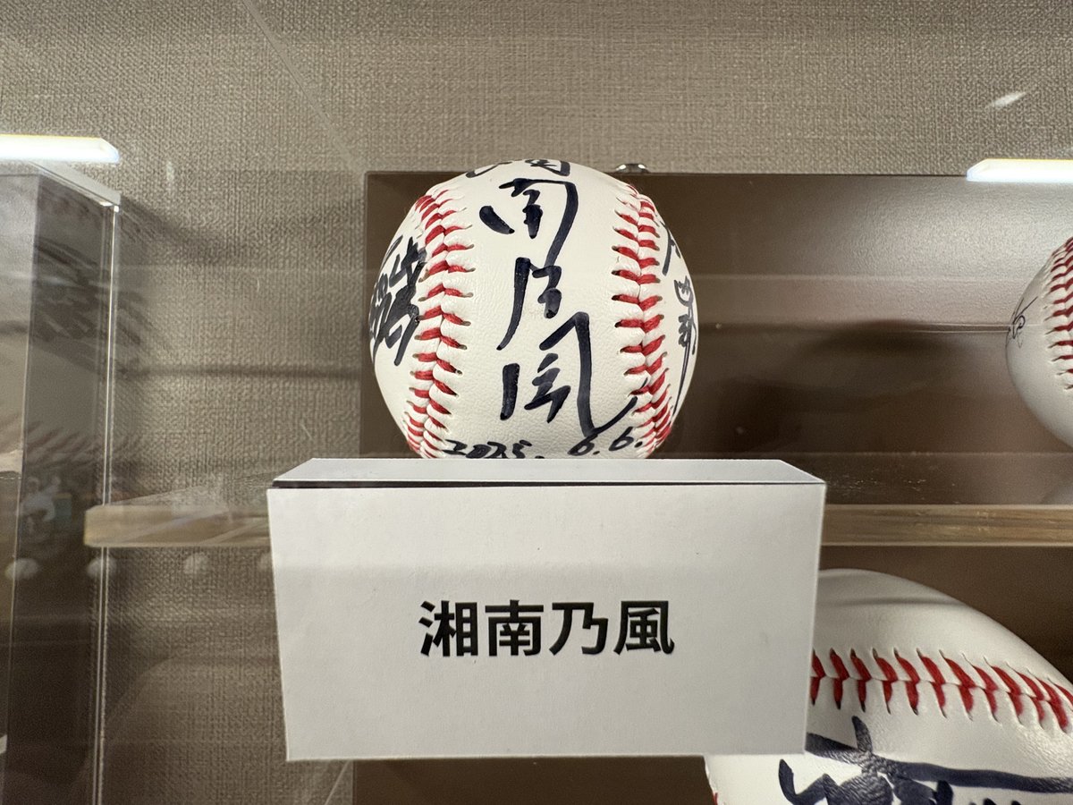 ナ*オ様 湘南乃風 熱唱甲子園 SHOCK EYE サイン入りボール 明日は湘南