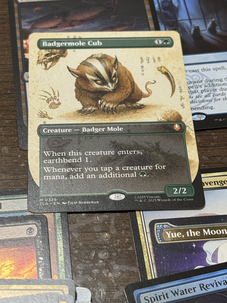 アナグマモグラの仔 英語 4枚セット アナグマモグラの仔 英語 4枚