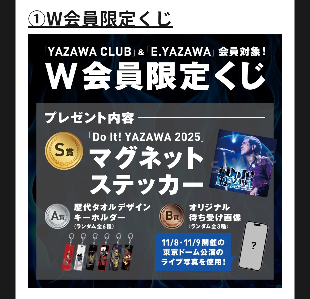 矢沢永吉 Do It！YAZAWA 2025 会場くじ この歴代タオルデザイン