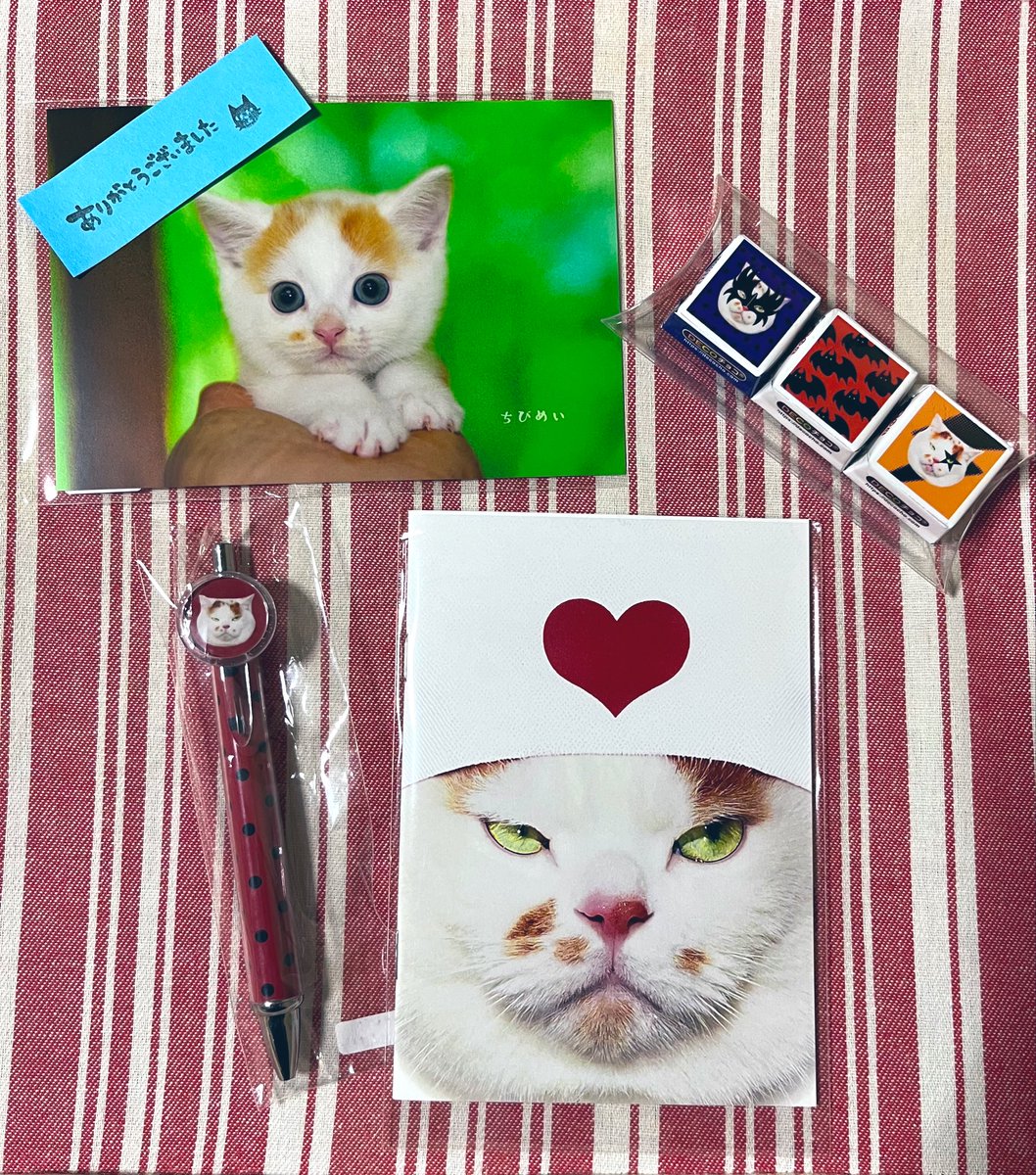 ねこ◎プロフ必読、更新しましたページ(Ⅳ) 56056-189-