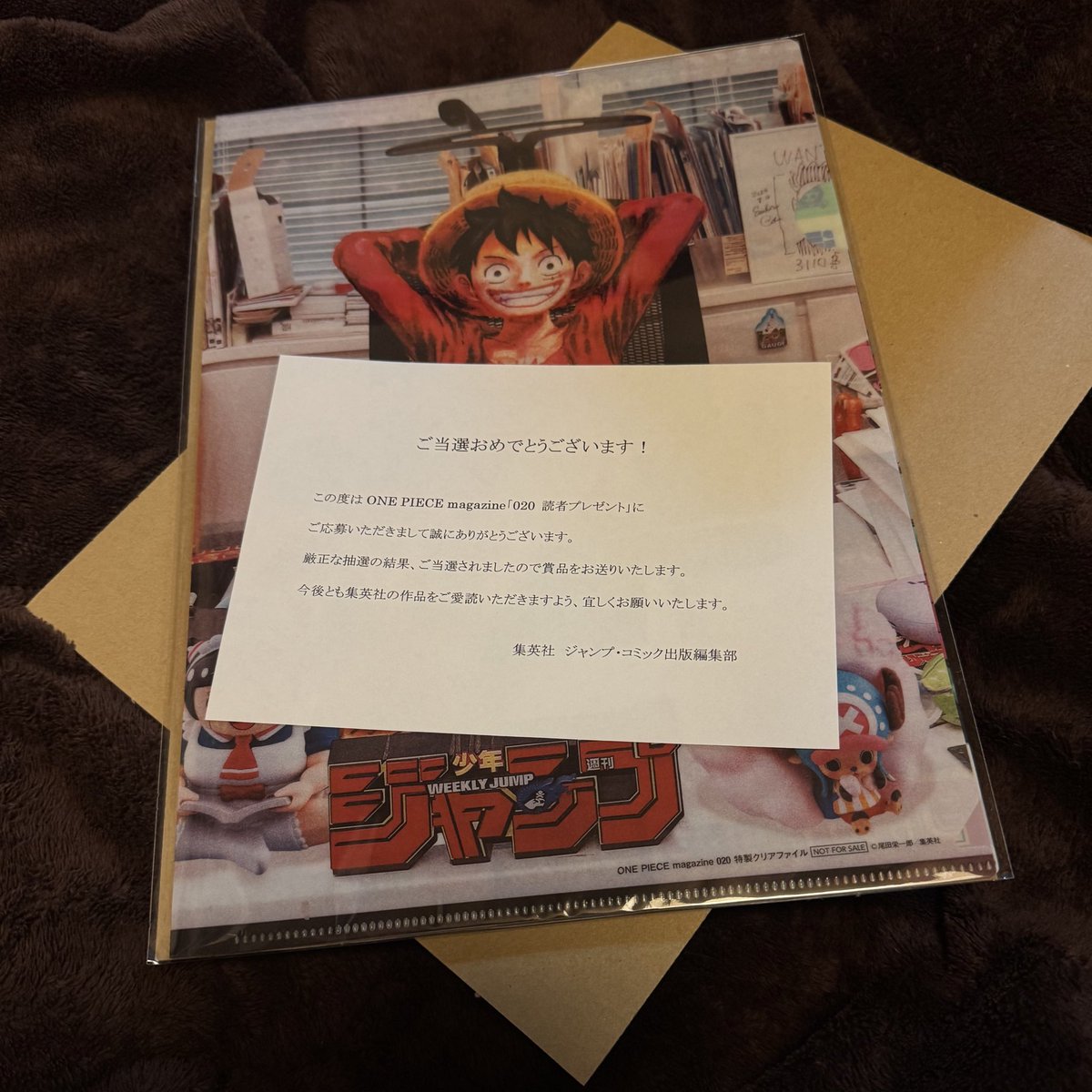 ワンピースマガジン クリアファイル 当選品 え…！？？これは嬉し過ぎる