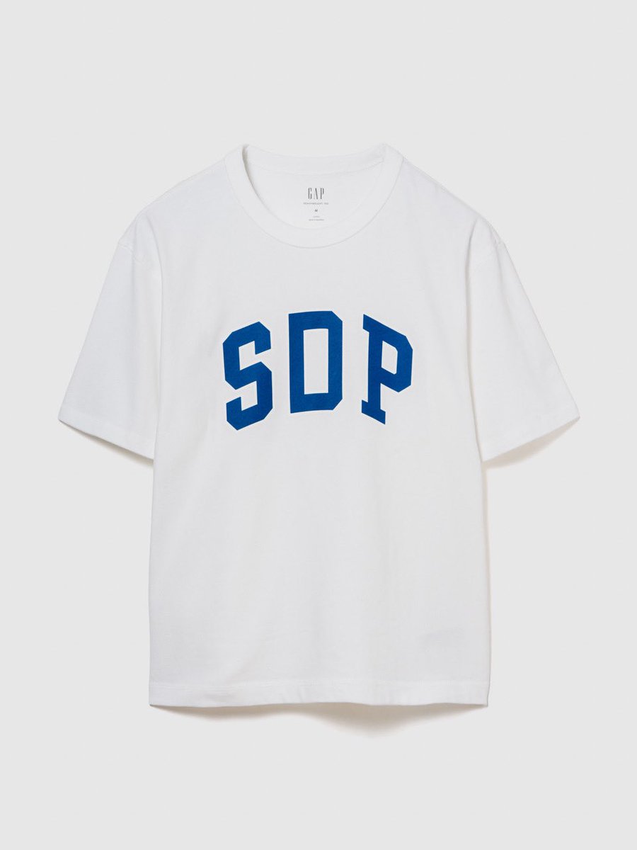 Tシャツ M スチャダラパー チャンピオンカーニバル 電気グルーブ