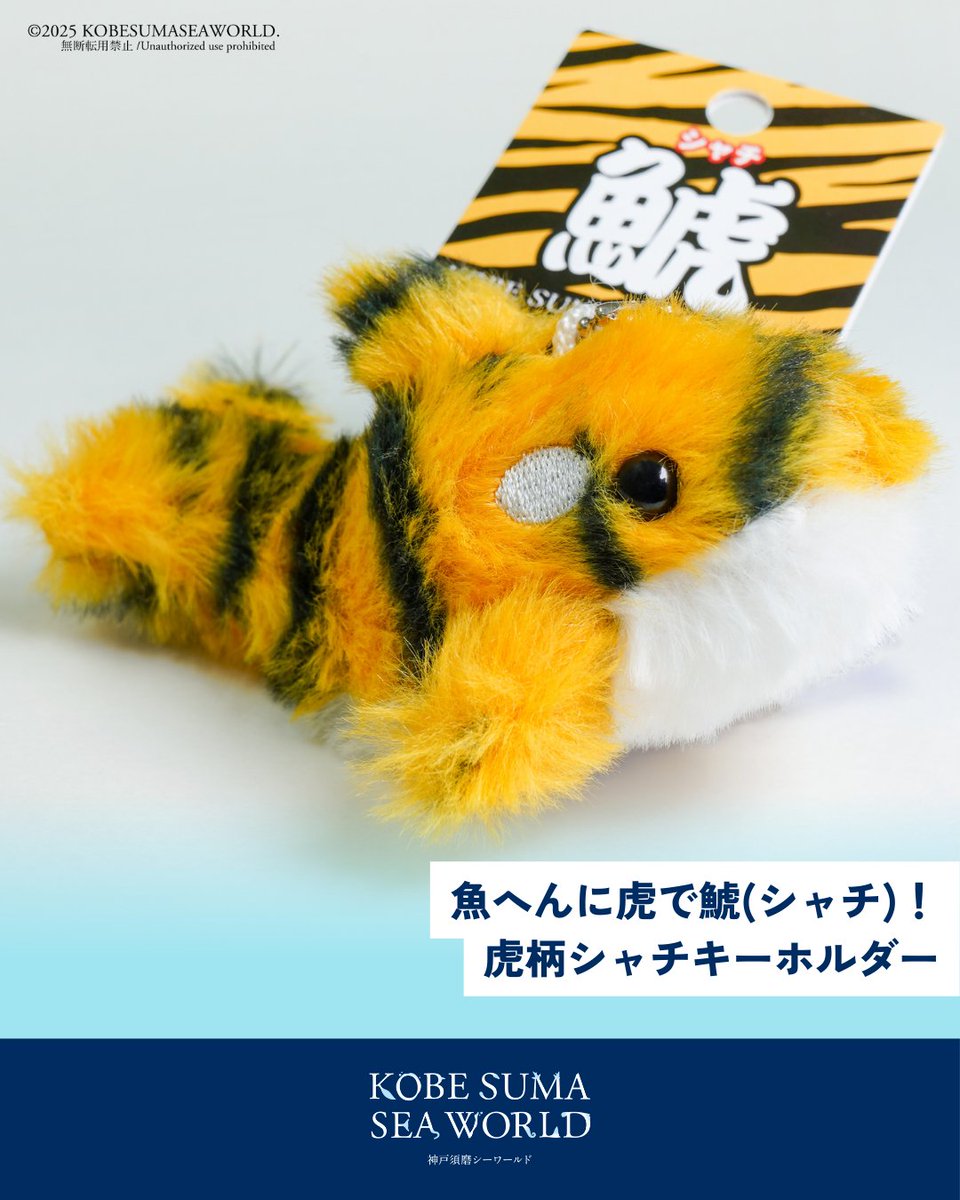 須磨シーワールド 限定 タイガーシャチ タイガーミニシャチマスコット