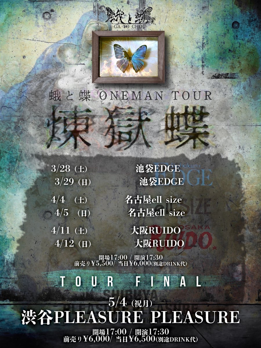 蛾と蝶 official (@gatochou) / Highlights / X