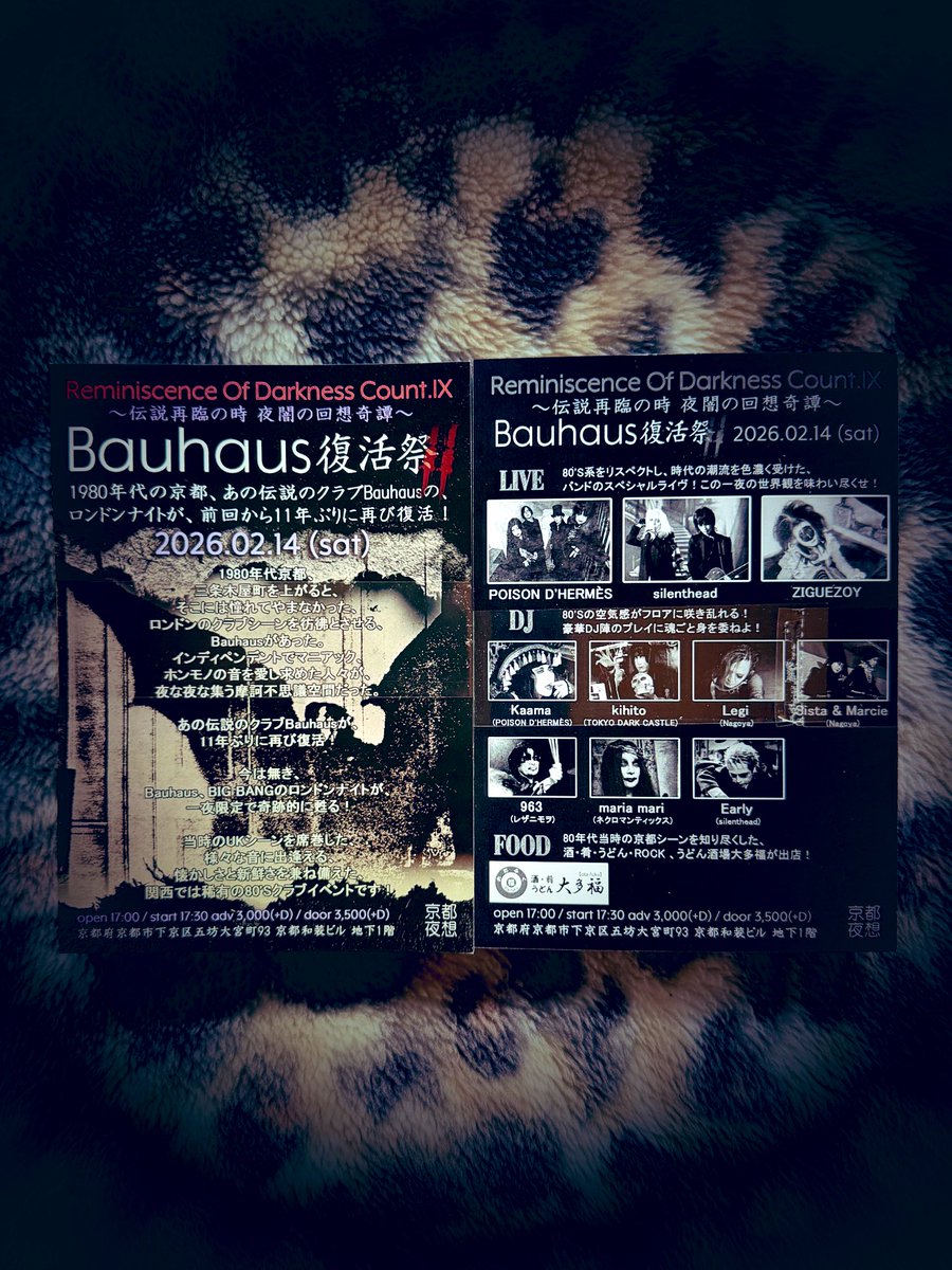 Bauhaus Resurrection 98 TOUR パンフレット Bauhaus Resurrection 98