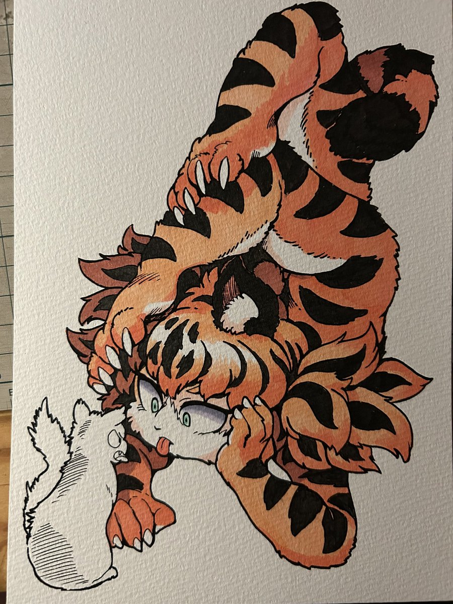 タイガー リリー