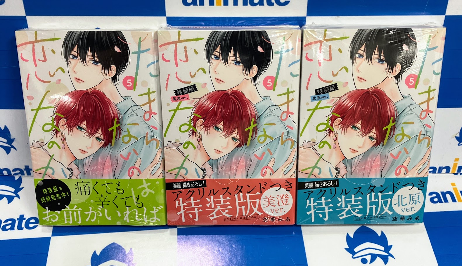 アニメ 漫画 ノンジャンル グッズ 500点以上 大量 まとめ売り Z/X 4
