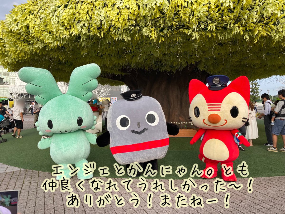 kamaboko様 ノブシリーズ