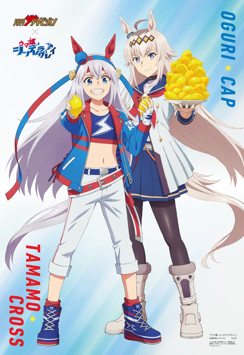 ぱ*ん様 ウマ娘プリティーダービー シンデレラグレイ ポスター 当選品