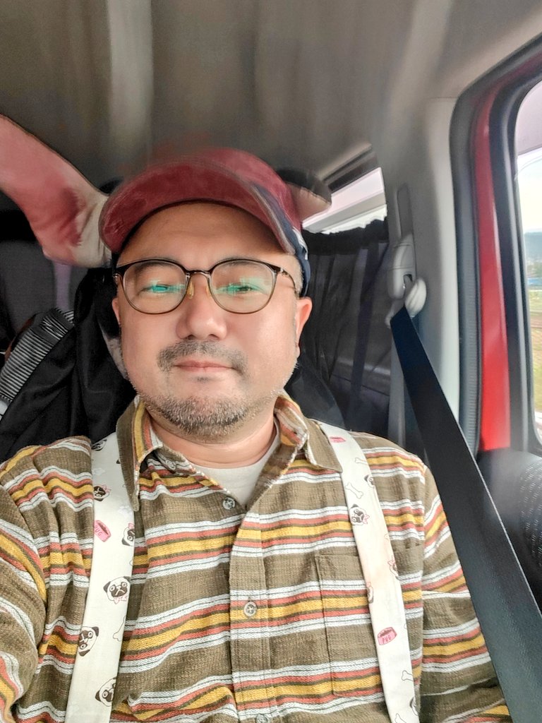 ちび太🎍cibita (@chibita_Gachibi) / Posts / X