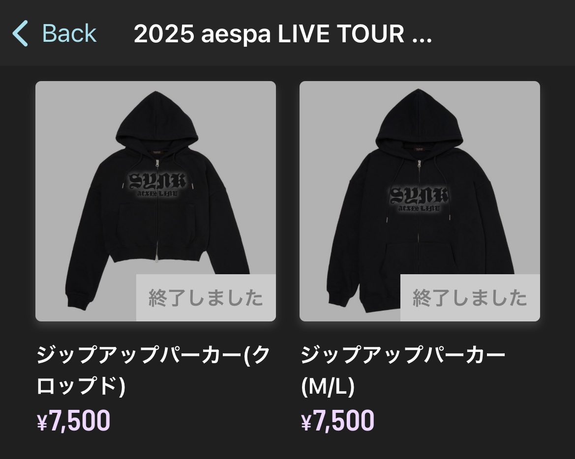 aespa aeXIS LINE ジップアップパーカー Lサイズ aespa SYNK : aeXIS