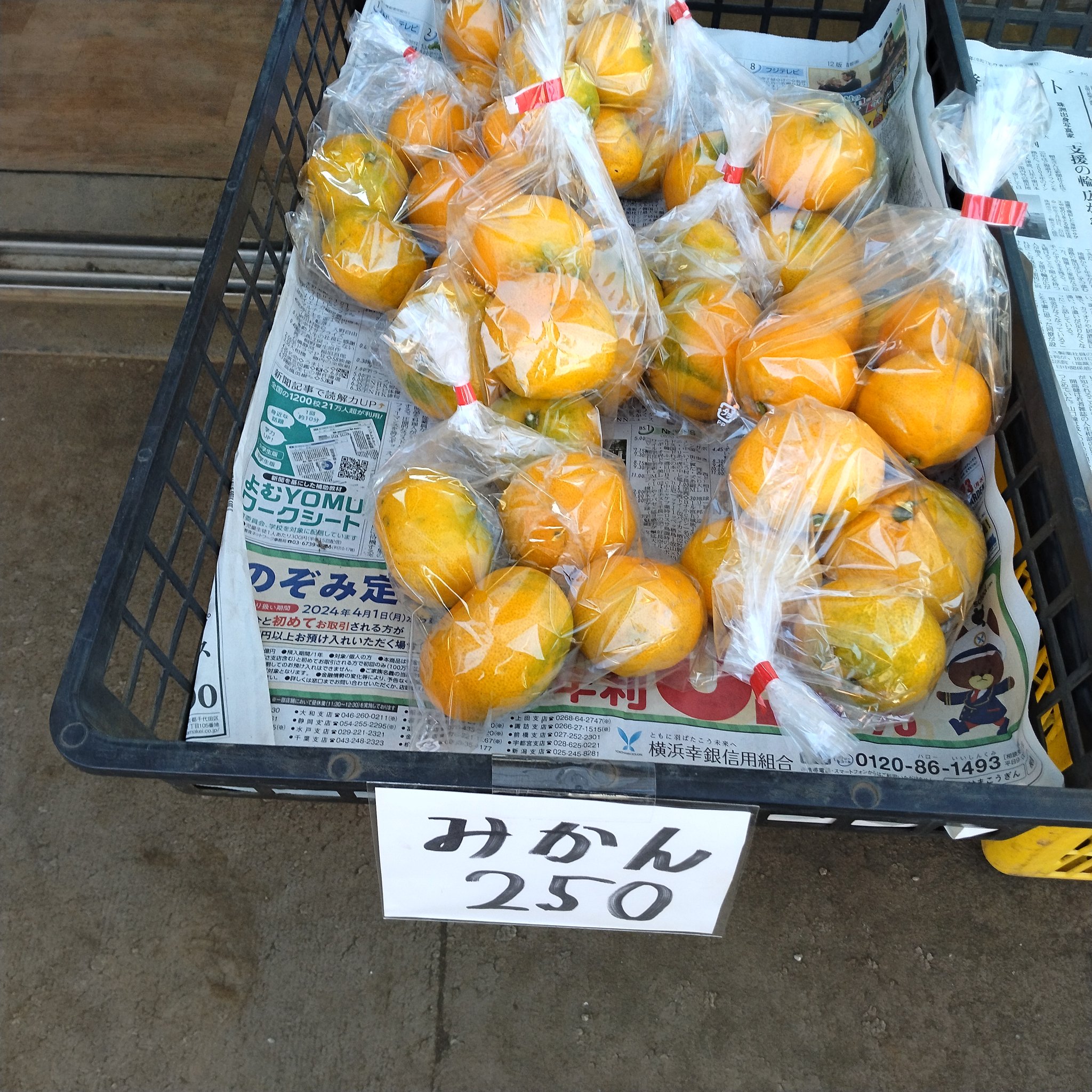 mikanさん専用 ☆ mikan♡ 様♥️専用ページ☆ みかんさん専用出品 みかん