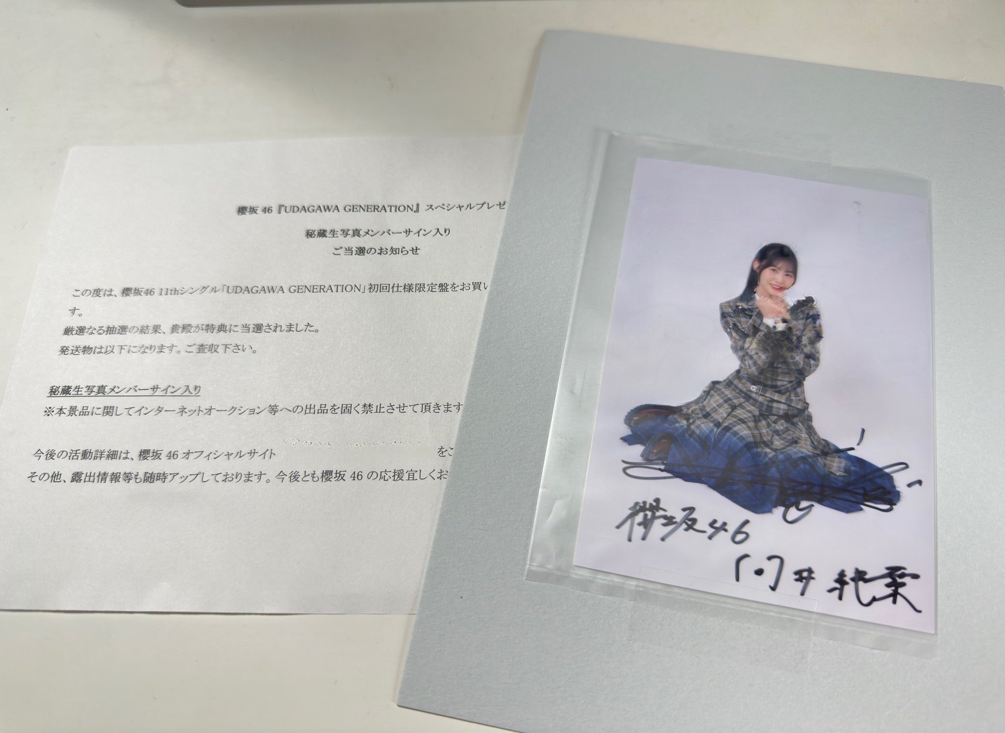 櫻坂46 向井純葉 Make or Break 直筆サイン入りポスター 櫻坂46