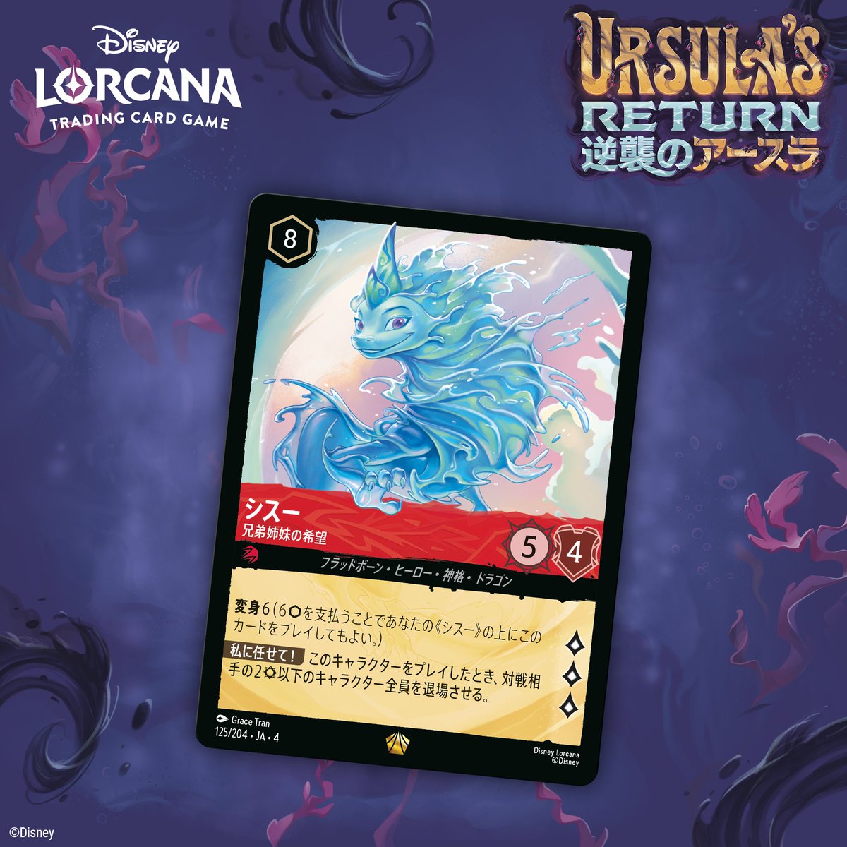 ロルカナ シスー 兄弟姉妹の希望 レジェンダリー 4枚セット シスー