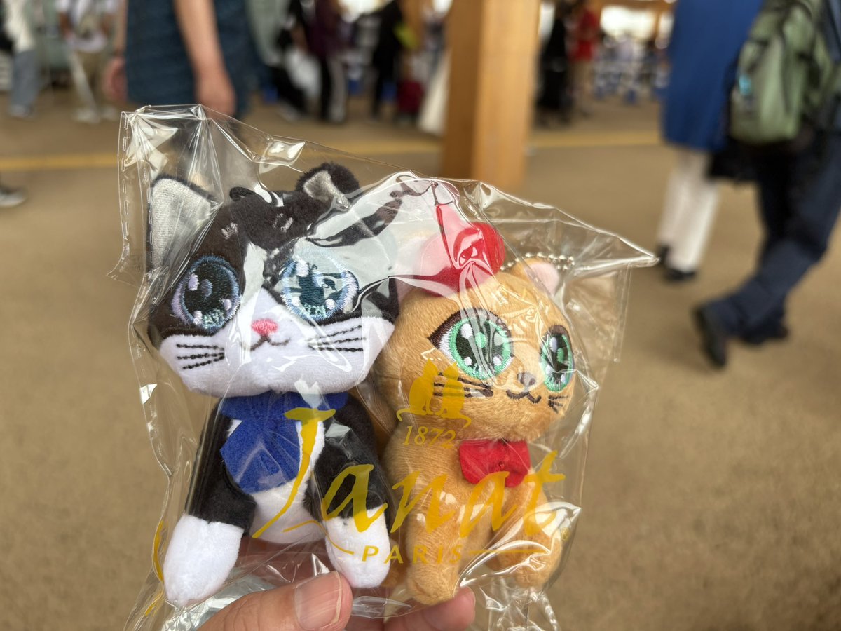 万博会場の近くに雷が落ちて、10時入場だけど早くに会場入りとなって