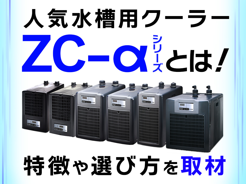 ゼンスイZC100 しょうへいさん専用 ゼンスイZC100 しょうへいさん専用