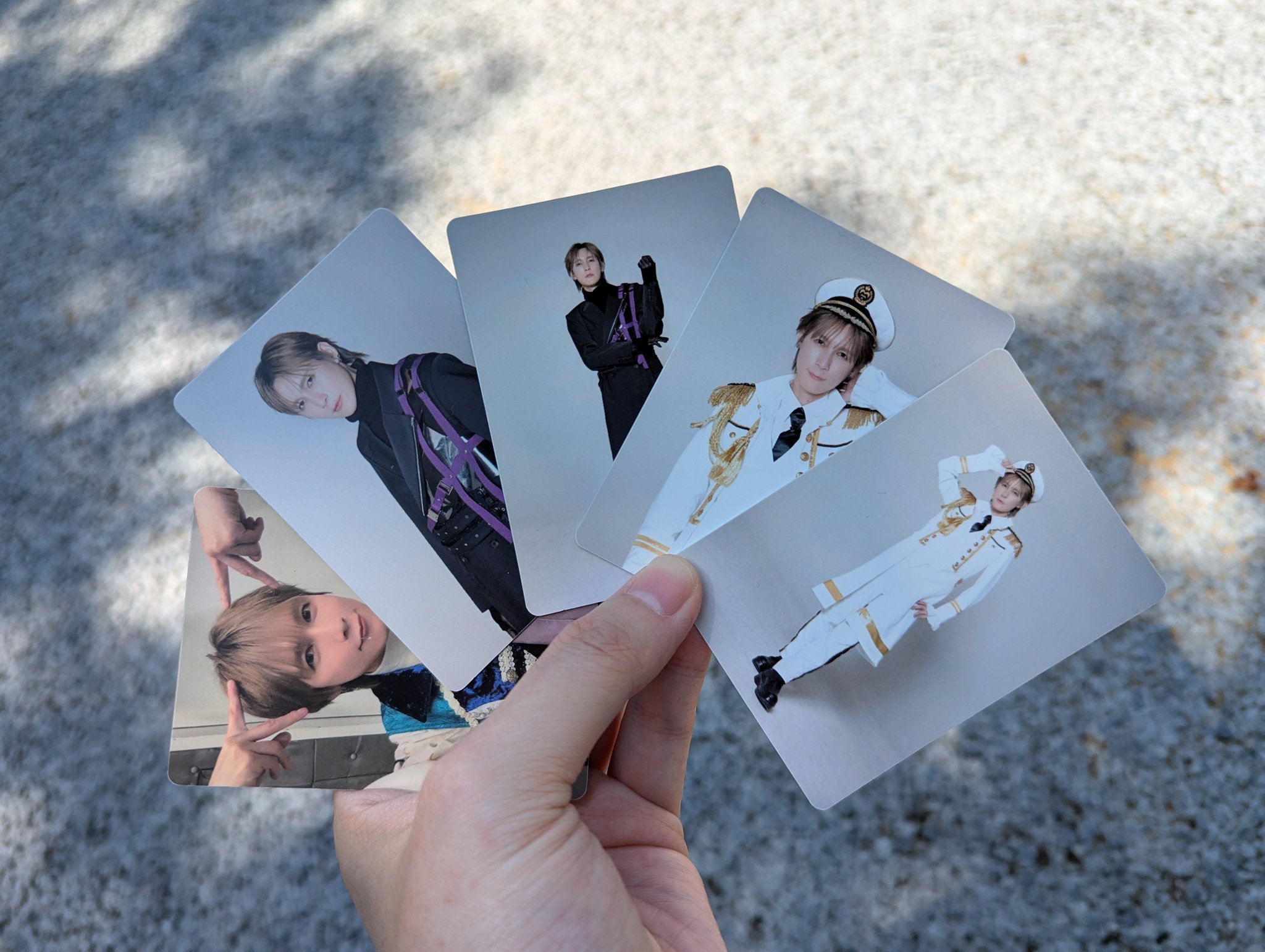 MeseMoa. めせもあ 気まぐれプリンス チェキ19枚セット