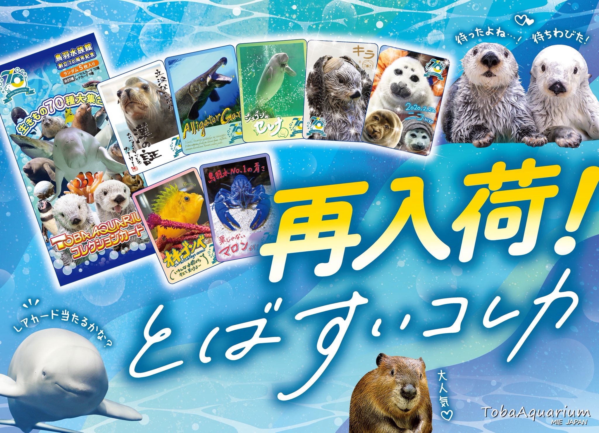 鳥羽水族館 70周年記念TOBA オンライン AQUARIUMコレクションカード 50