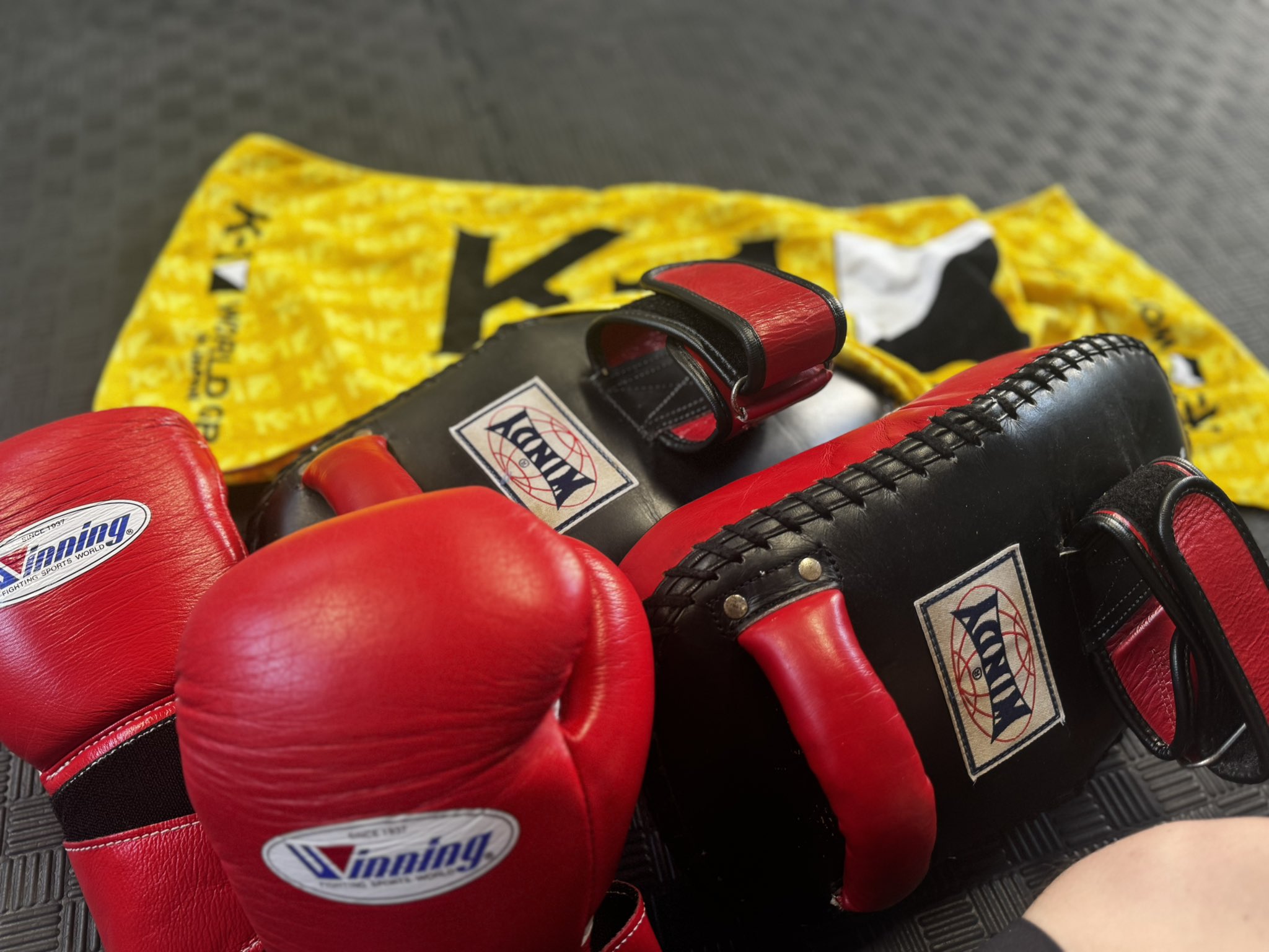 プロ仕様】 WINDY KP-8C キックミット 2個セット WINDY KP-8 パンチ