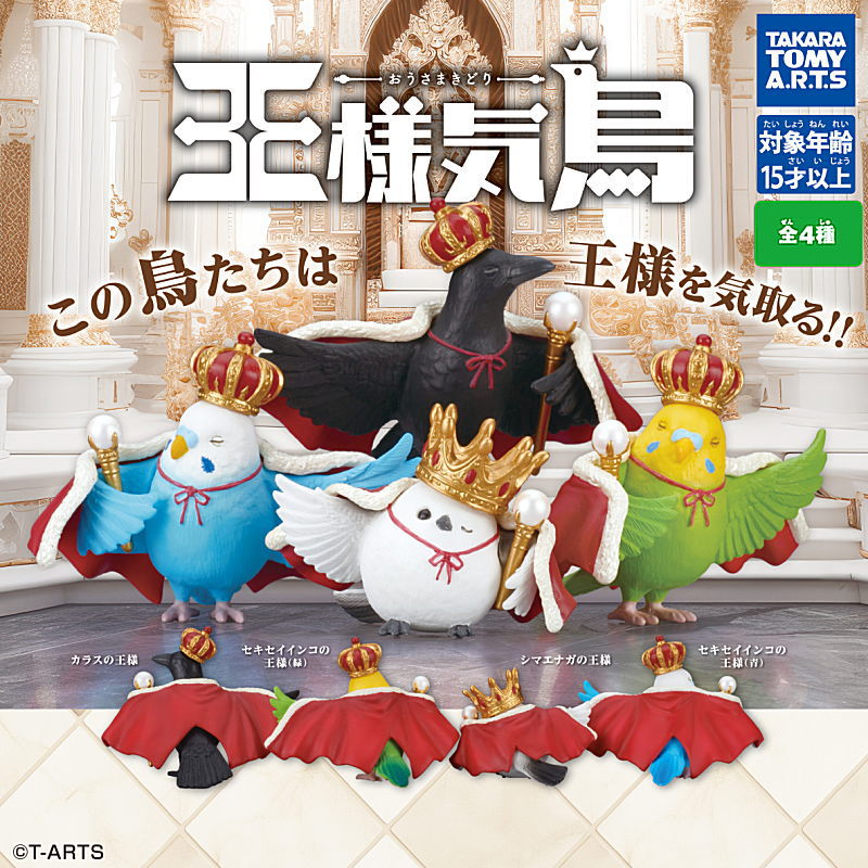 ✨新商品案内 2025年7月16日(水)✨／ ☑️王様気鳥 おうさまきどり