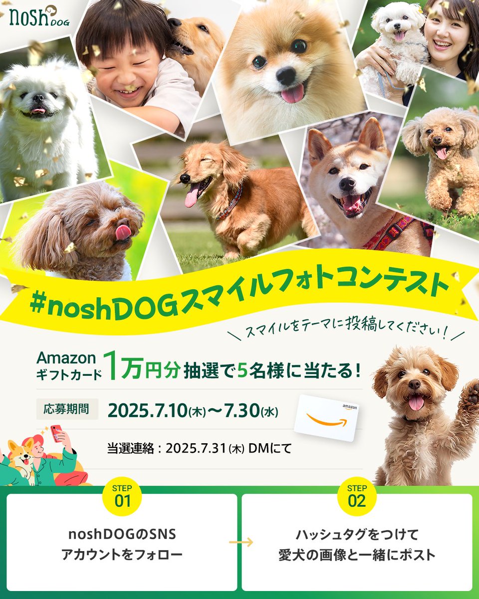 最終値下【新品未開封】nosh DOG ナッシュドッグ 高級ドッグフード 44