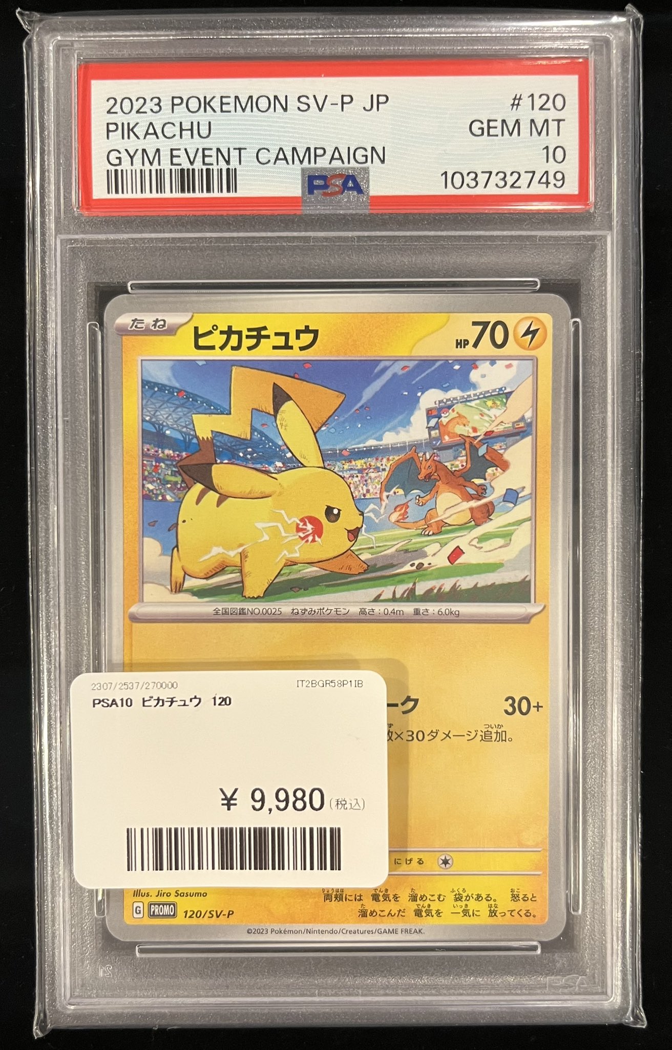 ピカチュウ のお年玉 ピカチュウ のお年玉