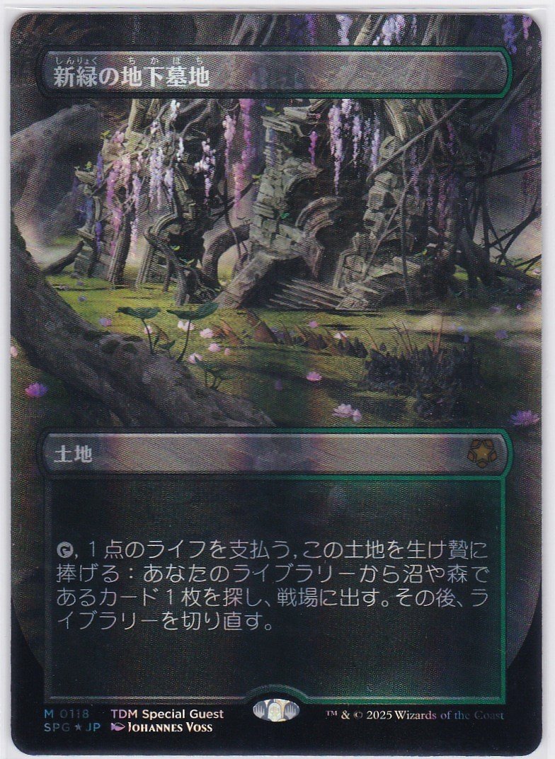 MTG 新緑の地下墓地 SPG ボーダーレス版英語foil 1枚 日)【ドラゴン