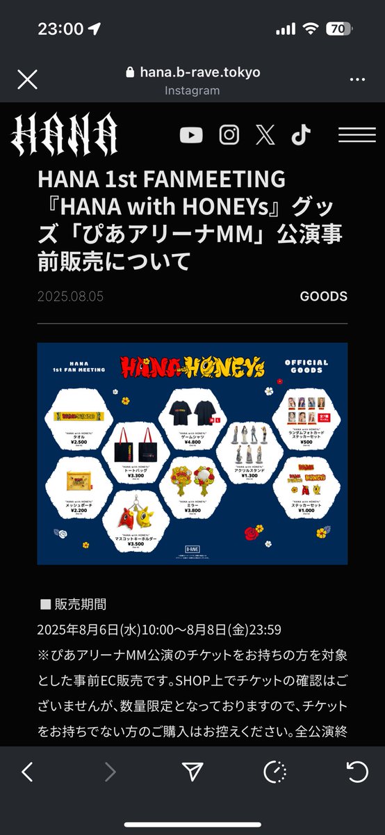 HANA ファンミ グッズセット HANA ファンミ グッズセット HANA