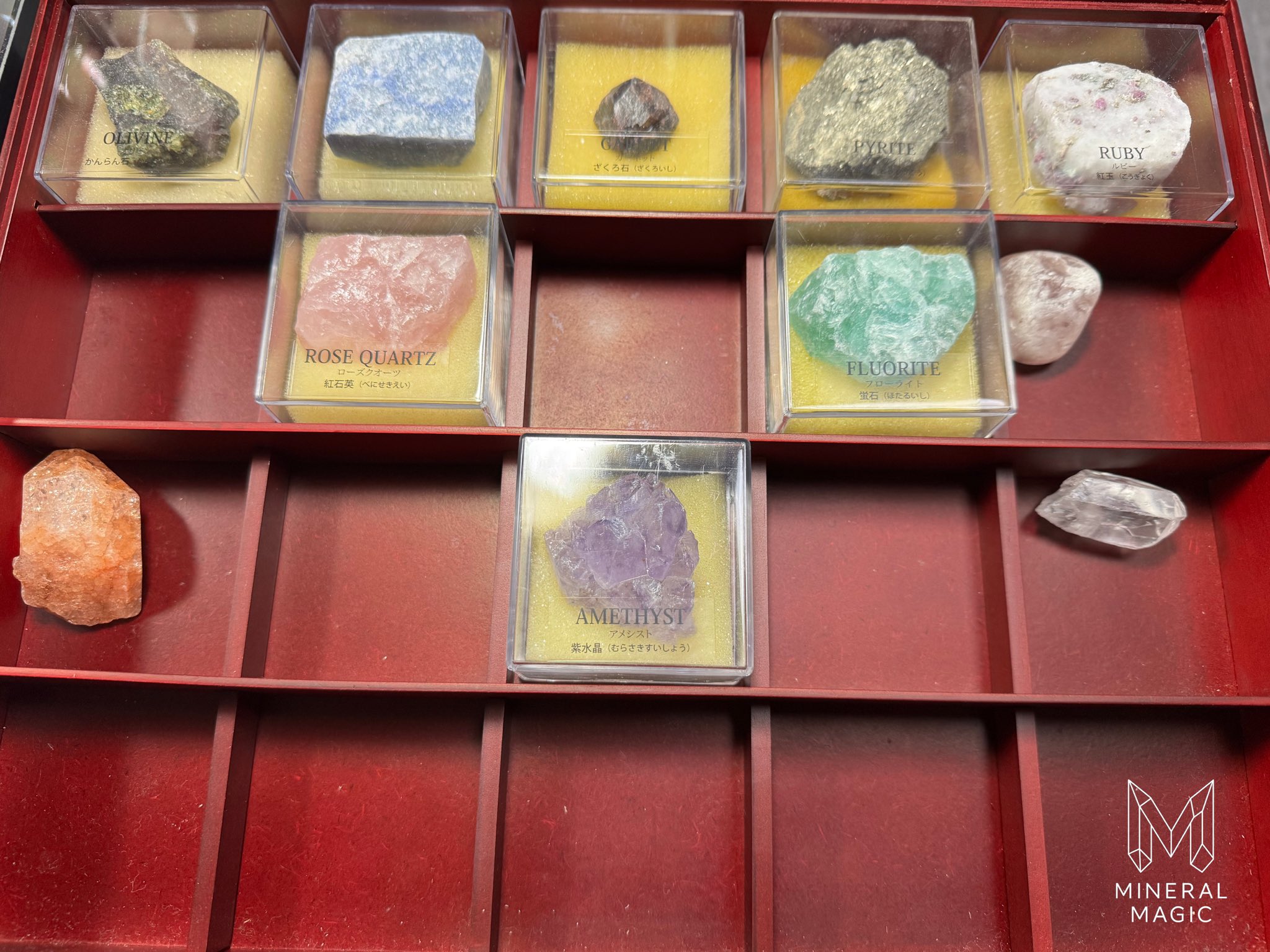 地球の鉱物コレクション」のアメジスト : 月川拓海の世界 【即購入可