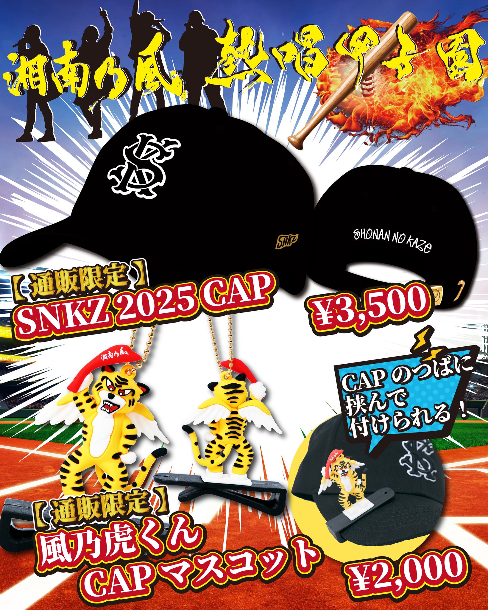 湘南乃風 激レア 風乃軍団限定ANNIVERSARYBAG （5点セット） 湘南乃風