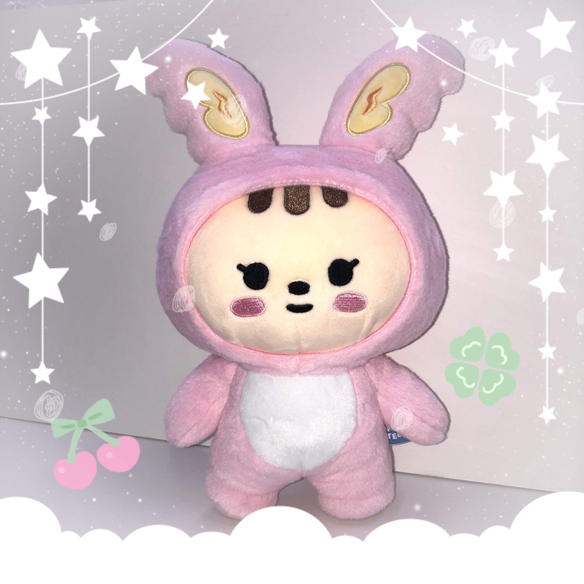 MINITEEN SEVENTEEN セブチ ミンギュ サノク キムジャ seventeen ミニ