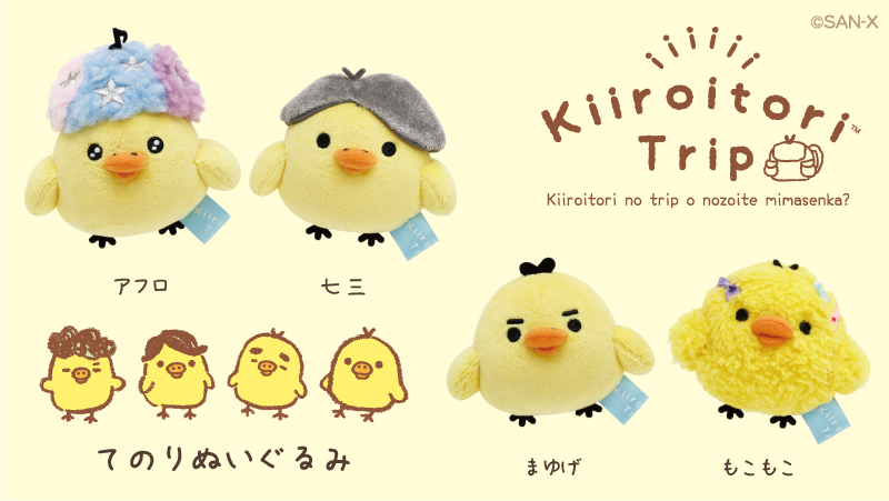 キイロイトリのカツラセット カツラ6個付き キイロイトリのカツラ