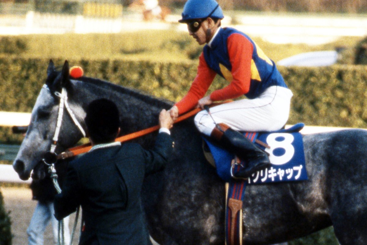 今週末はグランプリ、#有馬記念 が行われます。1990年のレースを勝った