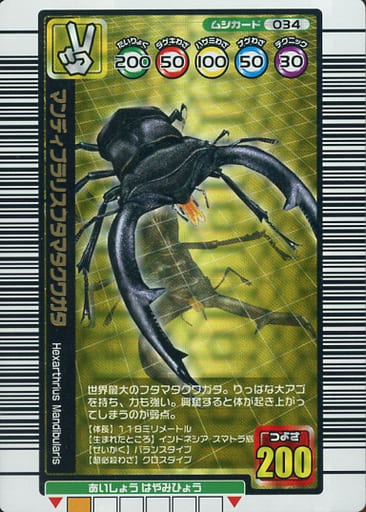 PSA10 マンディブラリスフタマタクワガタ 2005 ファースト PSA10
