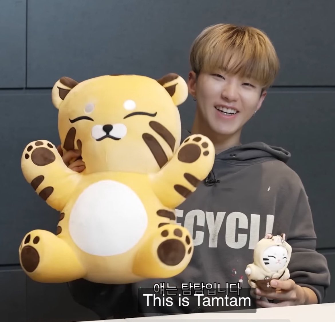 seventeen ミニティーン タムタム TAMTAM ホシ セット 2025 2025 10CM