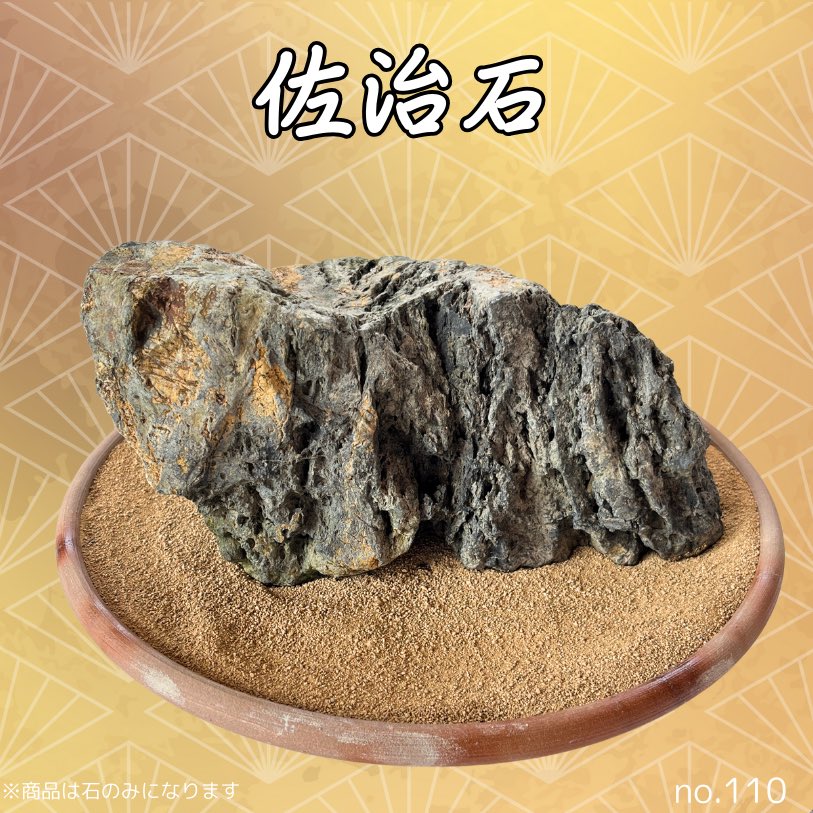 佐治石〈29〉【Taiyoメダカ】