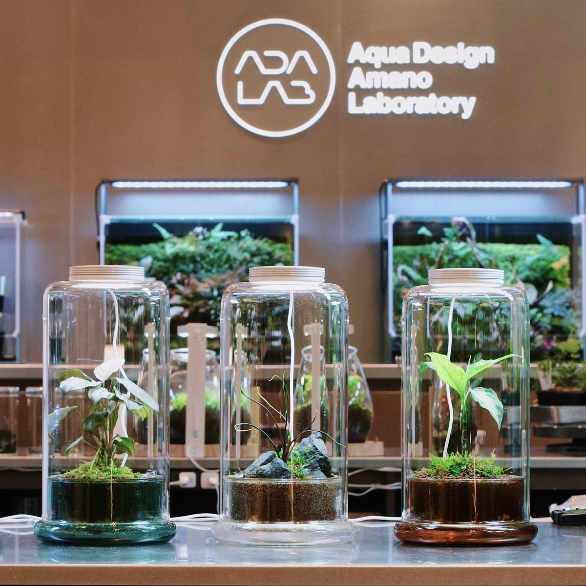 ADA CELL エメラルド 4個セット ADA CELL エメラルド 4個セット CELL