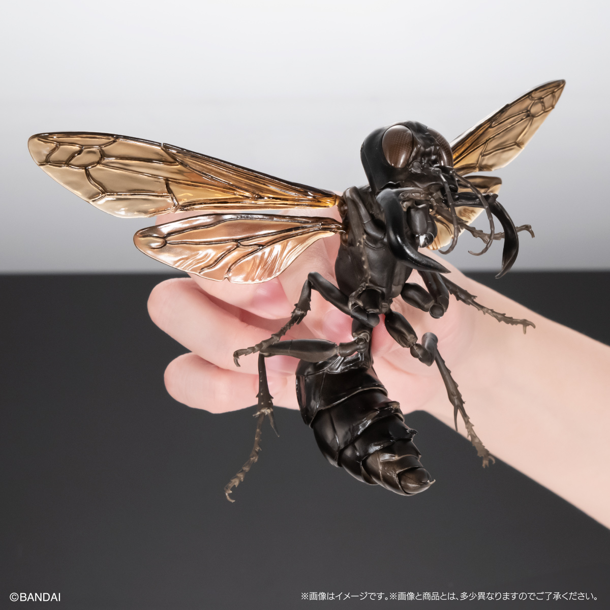 45mm】メガララガルーダ ハチ蜂スズメバチタランチュラホーク昆虫標本