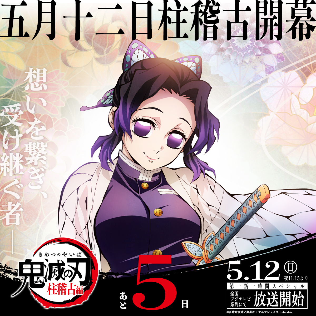 鬼滅の刃 柱稽古編 アイキャッチビッグポスター 胡蝶しのぶ カナエ 鬼滅