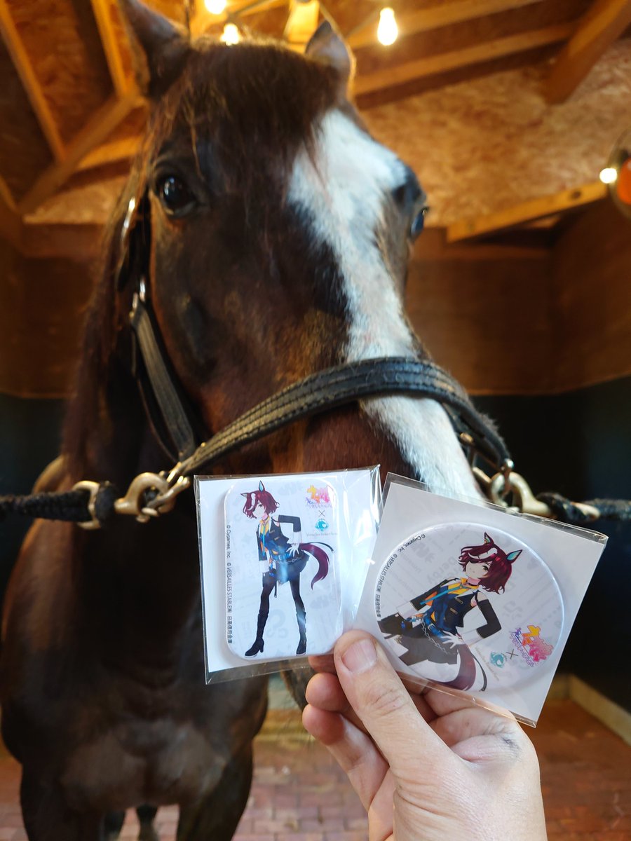 ウマ娘プリティーダービー タニノギムレットコラボ缶バッジ】 牧場限定