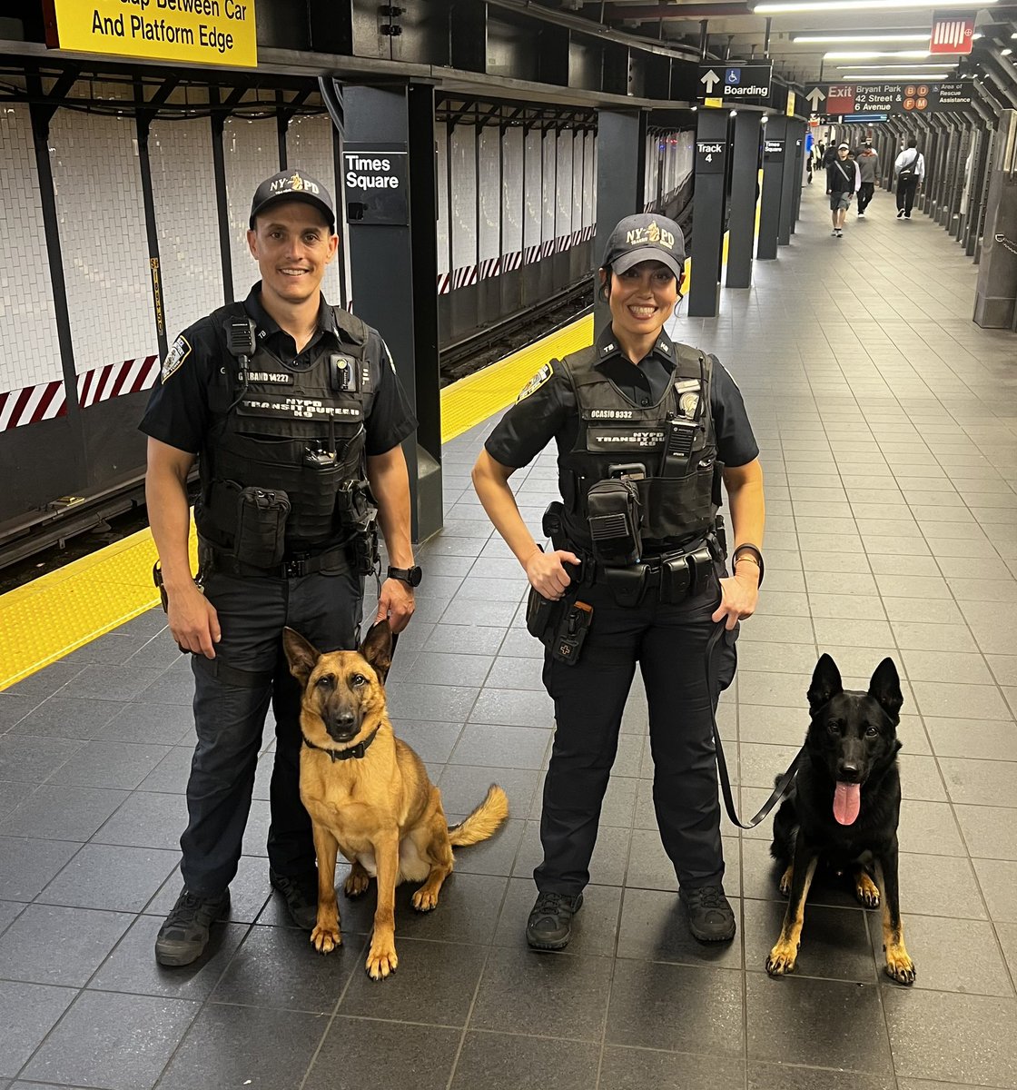 NYPD Transit Bureau CANINE パッチセット ニューヨーク市警 NYPD
