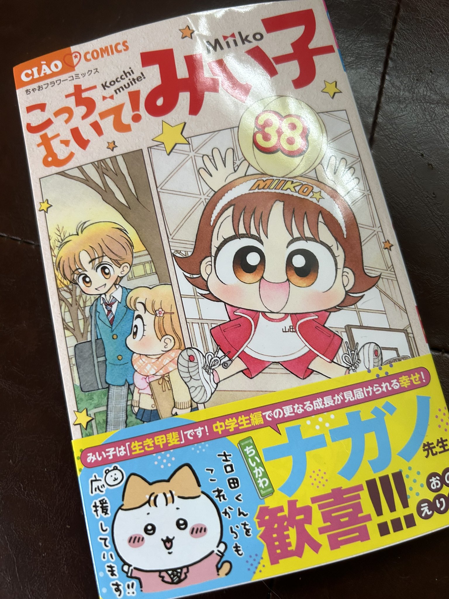 こっちむいて！みい子 1〜38巻+関連本2冊セット こっちむい