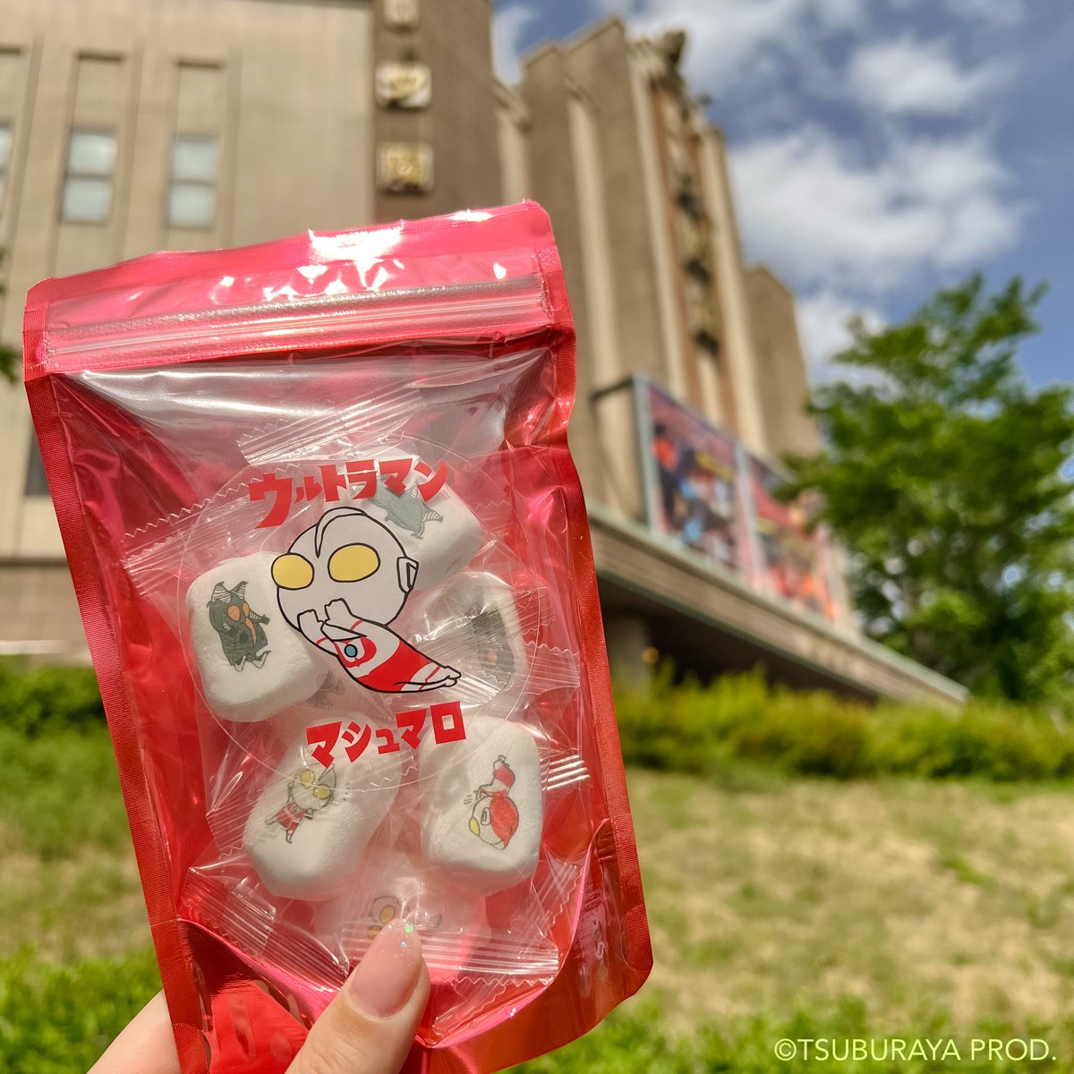 ハローキティ メダル 西武園ゆうえんち メルヘンタウン ハローキティ