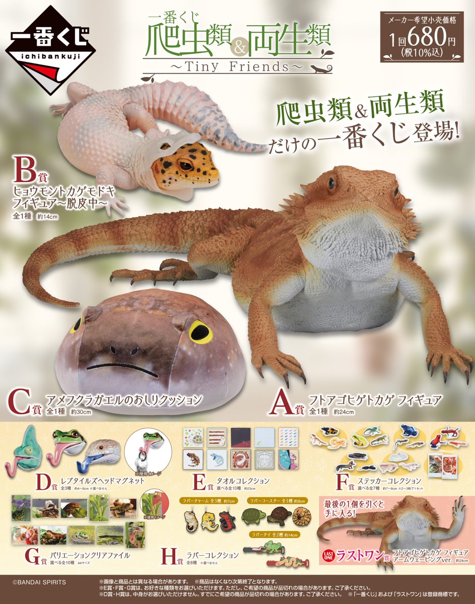 一番くじ 爬虫類&両生類 A賞 C賞 セット 🐸・🦎・🐍・🐸 全