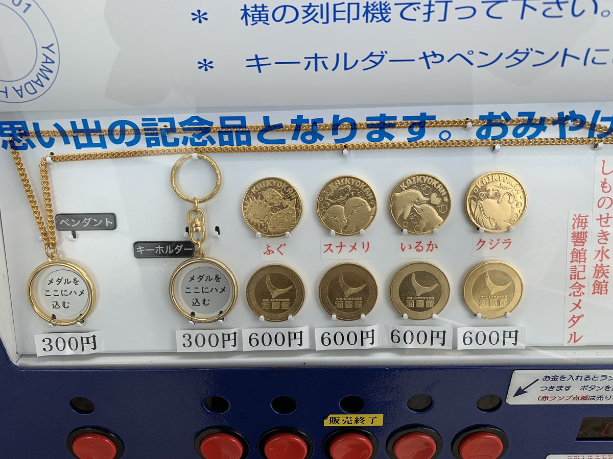 山口県下関市 市立しものせき水族館 海響館 3階休憩室 2024.6.29 有料