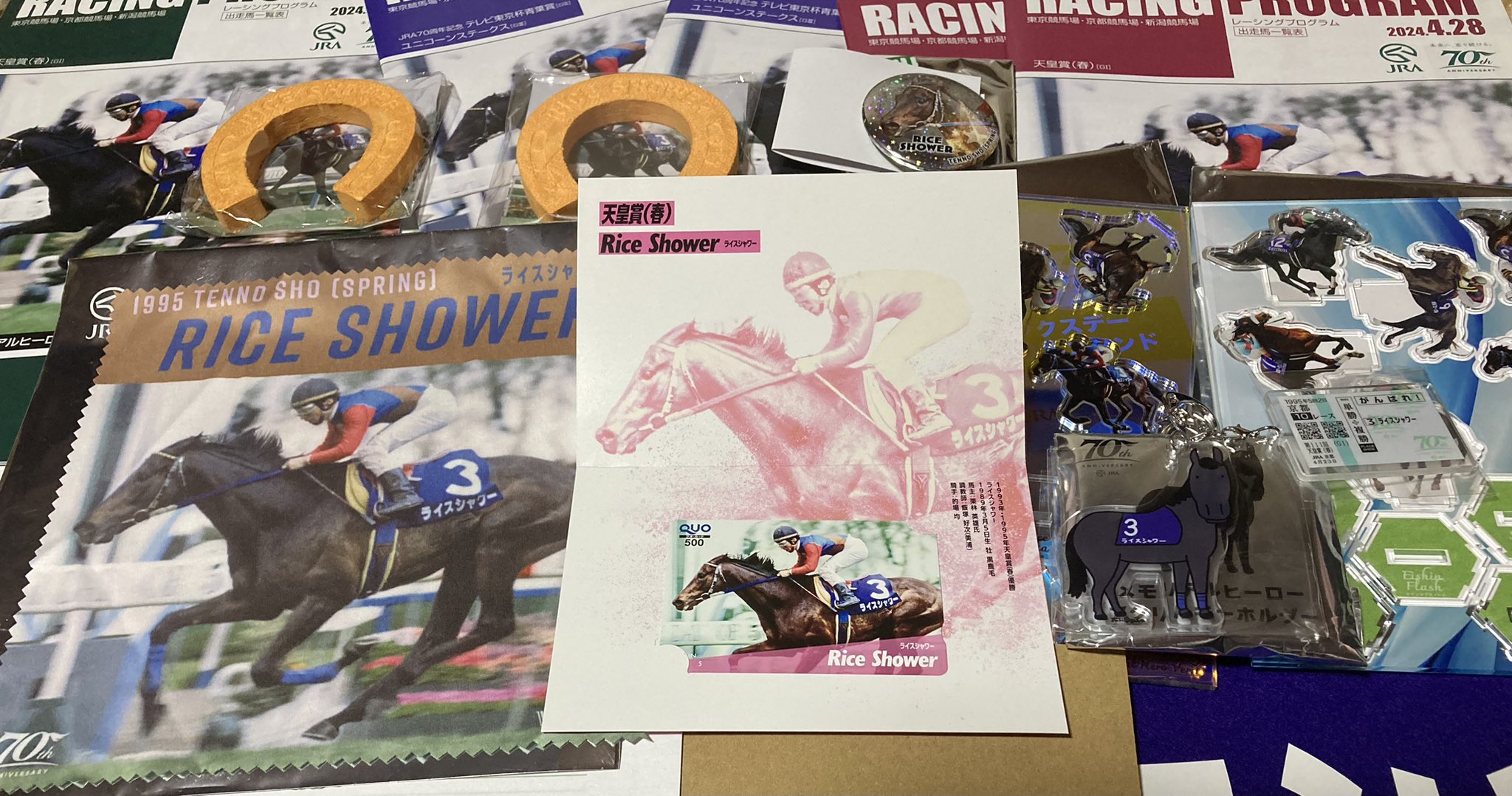 ライスシャワー 馬券 天皇賞春 1995年 最後の勝利