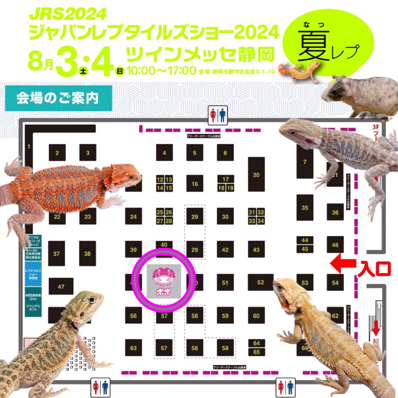 ポポのケージ爬虫類・両生類用飼育ケージ