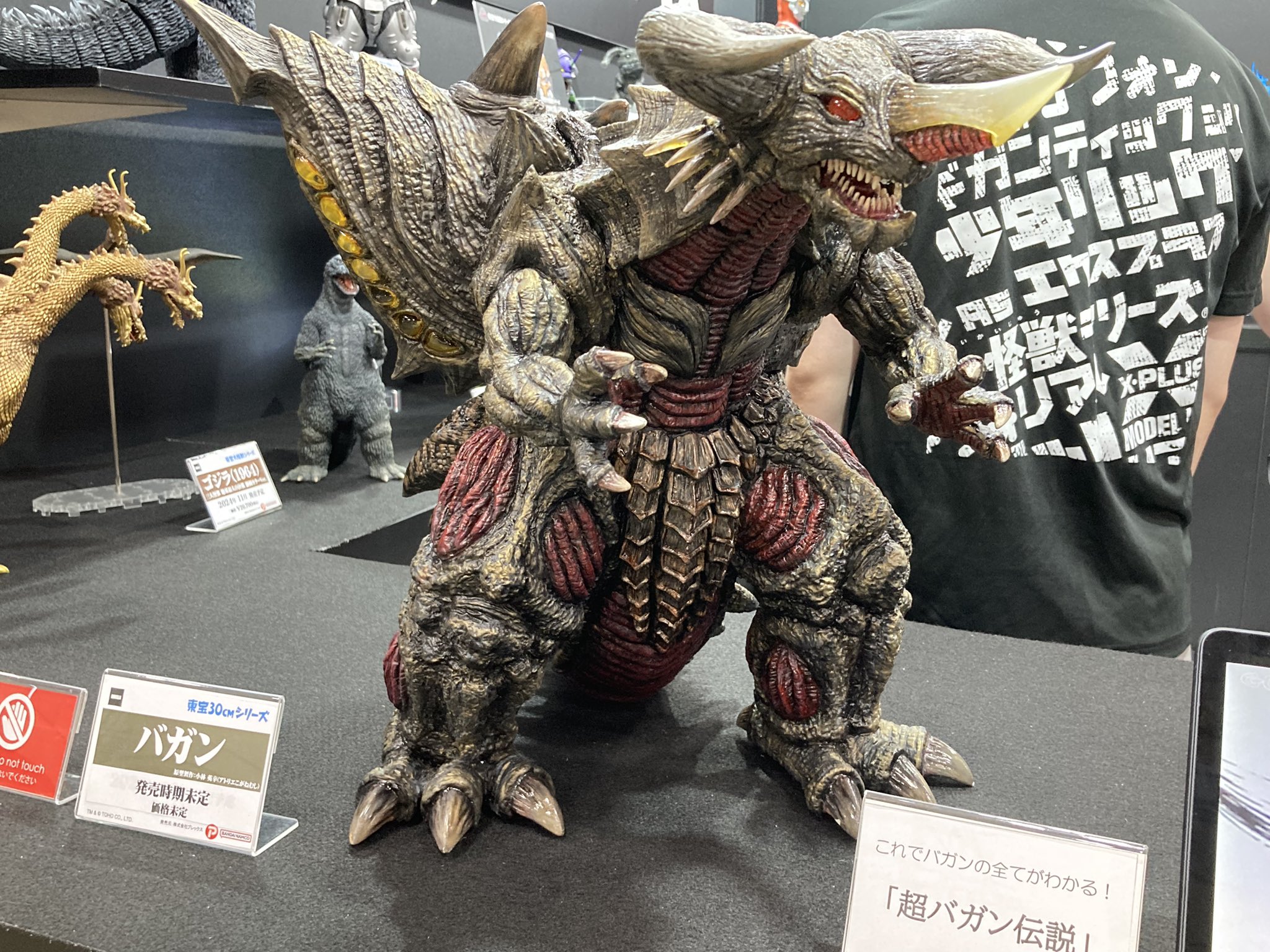 エクスプラス ガメラ3 大映 30CMシリーズ 1999 VER2 少年リック 少年