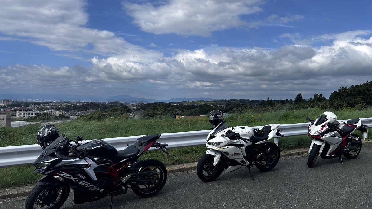 緑被せ乳白コンポート 緑被せ乳白コンポート