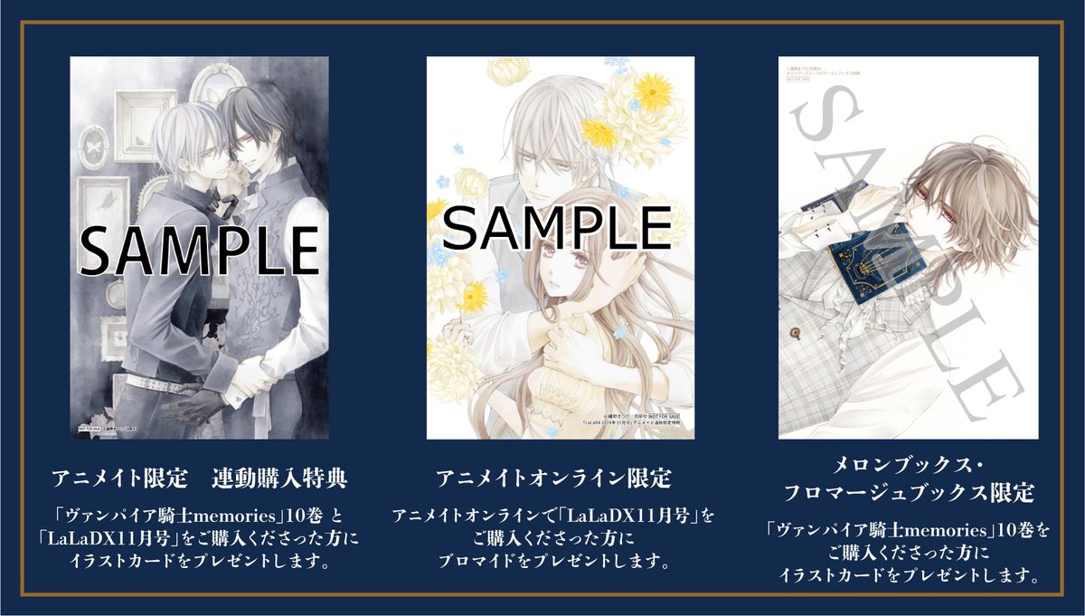 ヴァンパイア騎士 memories 10巻 特装版 台湾特典 玖蘭枢•錐生零 他